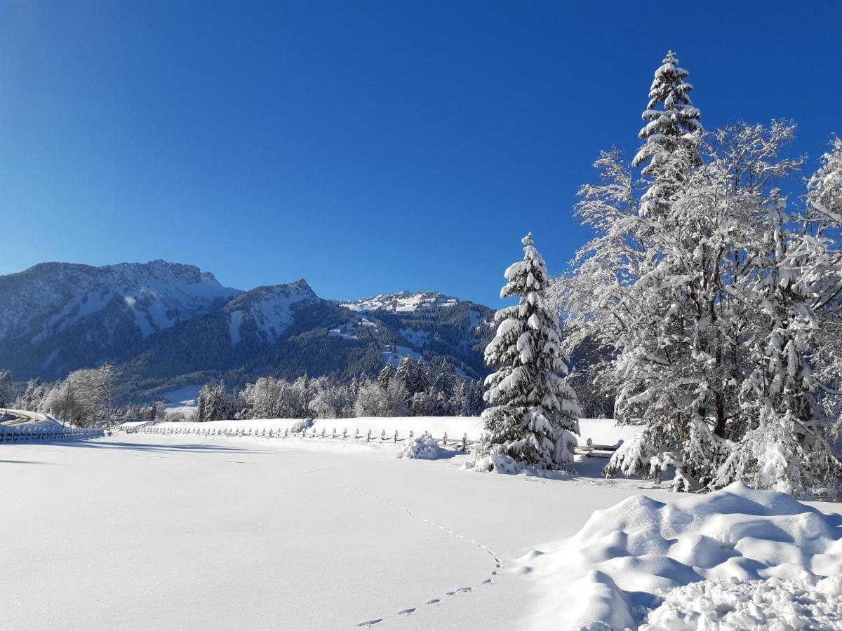 Pension Leitner Hofen Bagian luar foto